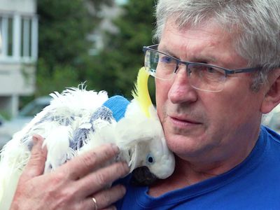 Из первых уст: Альвидас Витас рассказал историю изъятия животных из «Аквариума» и их возвращения (видео) - В Висагинасе