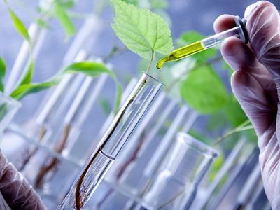 Биотехнологии - самый большой потенциал сотрудничества Литвы с Японией - Литва и страны Балтии