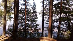 Внимание! Новый фотоконкурс "Наедине с природой"