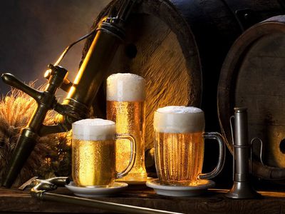 Финские ученые восстанавливают рецепт пива, затонувшего в Балтике 200 лет назад - Наука и здоровье