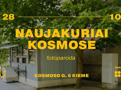 Выставка в историческом дворе Висагинаса - В Висагинасе