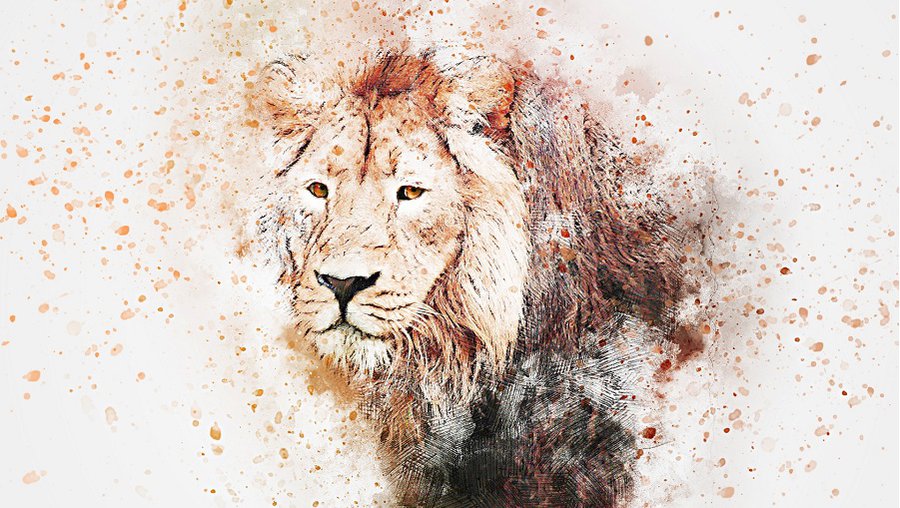 В Таллинском зоопарке у усыпленного льва обнаружили коронавирус - Литва и страны Балтии