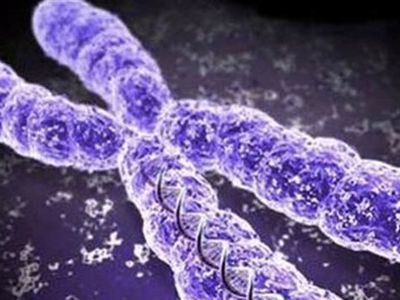 Дата смерти: создан самый точный тест                 - Наука и здоровье