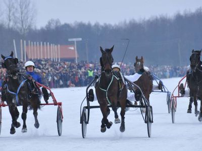 Зимние гонки на лошадях "Sartų lenktynės" перенесли на 10 февраля - Культурные и спортивные мероприятия
