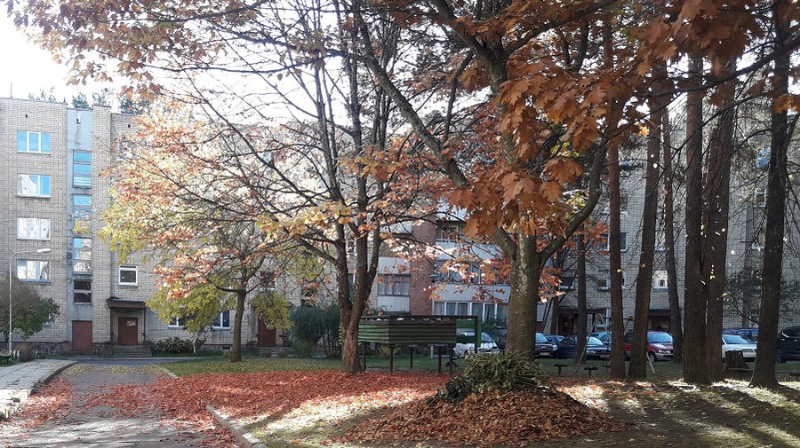 Прогноз погоды: на следующей неделе нас ожидает  устойчивое понижение температуры - В Висагинасе