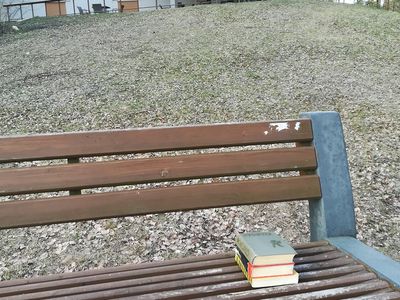 Где мини-библиотечка? Принесенные книги люди вынуждены оставлять на скамейке - В Висагинасе