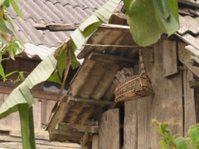 Комитет по экономике Сейма Литвы одобрил предложение унифицировать тариф НДС за отопление - Энергетика