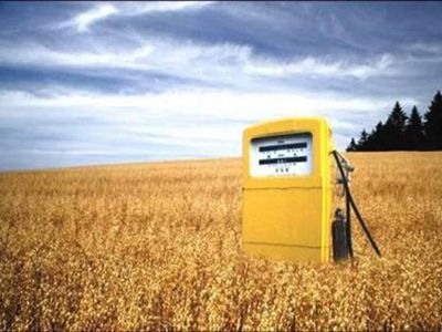 Начались споры об экологической эффективности биотоплива                                 - Наука и здоровье