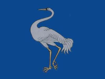 Прямые выборы мэров — уже через год? - В Висагинасе