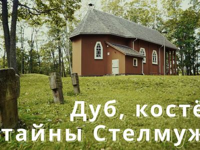 Стелмуже: вековая история дуба и поместья (фильм) - Это интересно