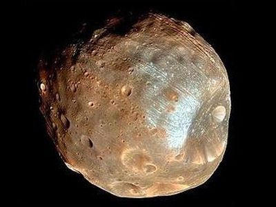 Россия планирует запустить к Марсу живые организмы - Наука и здоровье