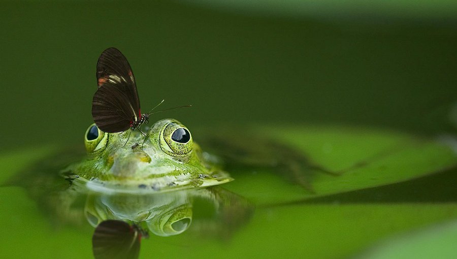 Сейм ввел обязательную регистрацию и плату для тех, кто потребляет определенное количество поверхностной воды - Литва и страны Балтии