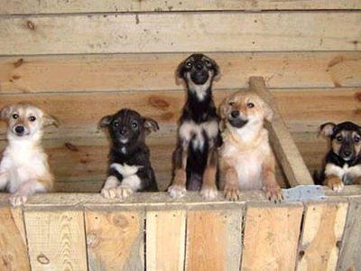 Спасибо за помощь! - В Висагинасе