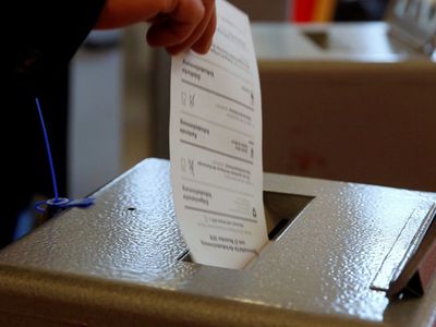 В Литве с президентскими выборами пройдут референдумы о гражданстве и парламенте - Литва и страны Балтии