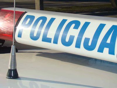 Литовец получил срок за глумление над политиками - Происшествия и криминал