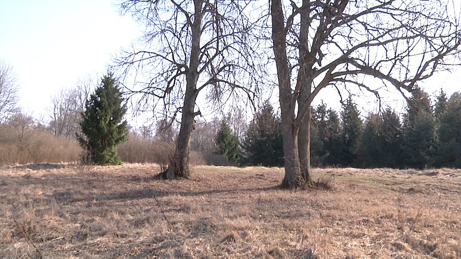 Летняя эстрада «У двух лип» - В Висагинасе