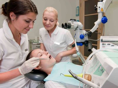 Весной эмигранты возвращаются в Литву за красотой - Литва и страны Балтии