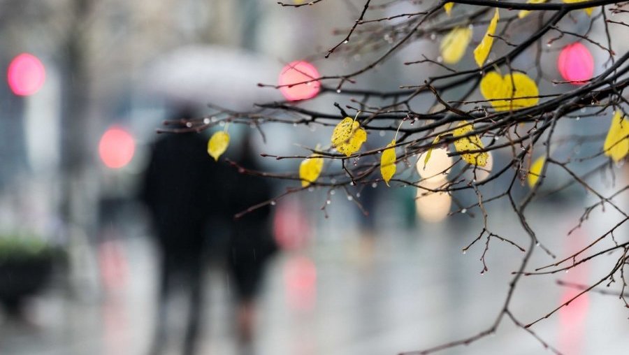 
Žiema į Lietuvą neskuba: savaitgalį lis - Lietuva ir Baltijos šalys