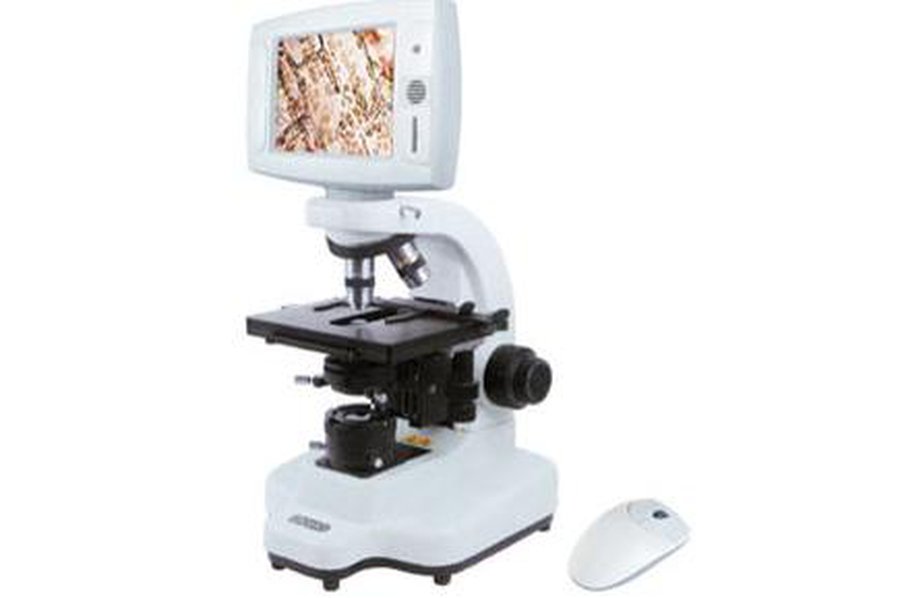 Микроорганизмы на экране - Наука и здоровье