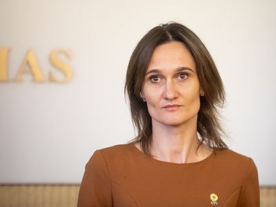 В. Чмилите-Нильсен в Киеве: Литва готова восстановить разрушенную Украину - В Мире