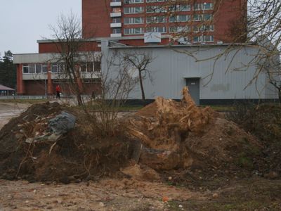 Горячая линия: Внимание, разыскивается хозяин свалки! - В Висагинасе
