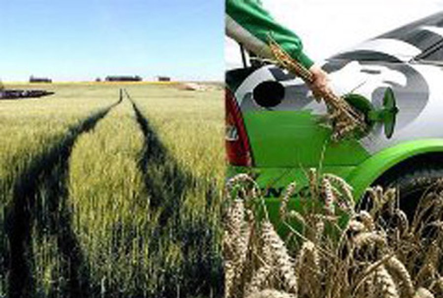 В Литве будет создана биржа биомассы - Энергетика