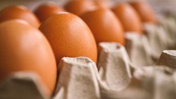 Литва получила разрешение на экспорт яичных продуктов в США