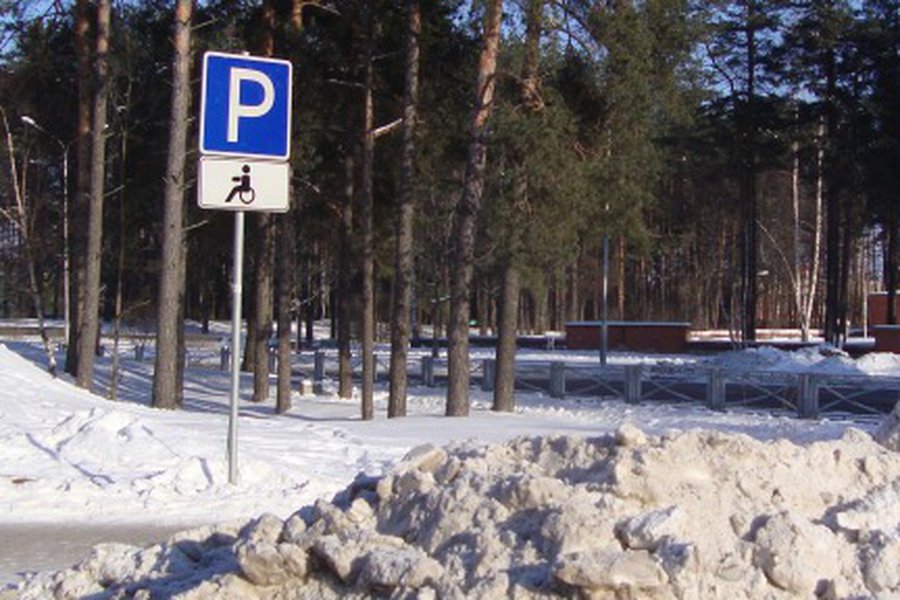 Расчищайте сами!                                                                 - В Висагинасе