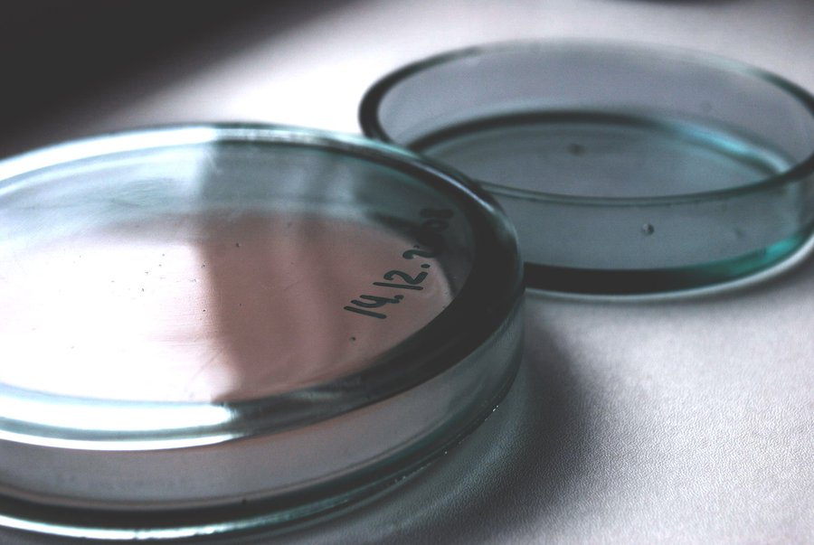 Новая эволюционная гипотеза перевернула представления об этом процессе                                                                                 - Наука и здоровье