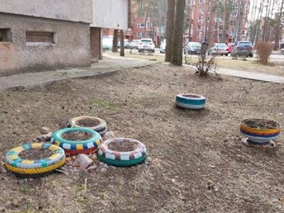 Informacija apie daugiabučių kiemų gėlynus - Visagine