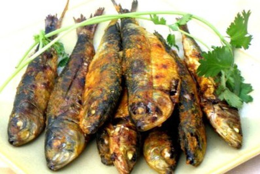 Морская рыба замедляет старение - Наука и здоровье