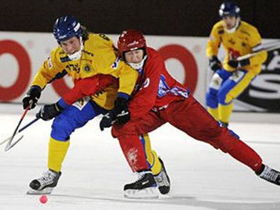 На Олимпиаде в Сочи впервые будет представлен русский хоккей - Культурные и спортивные мероприятия