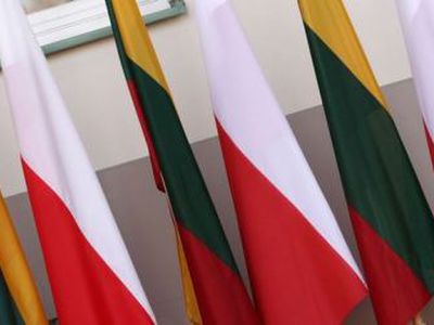 Избирательная акция поляков Литвы грозится покинуть правящую коалицию - Литва и страны Балтии