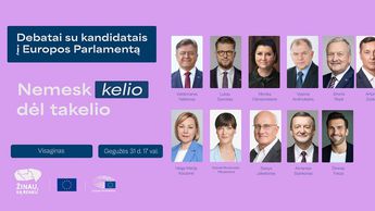 В Литве началось досрочное голосование на выборах в Европарламент