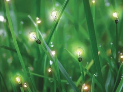 С Днем энергетиков!                                                                                                                                    - В Висагинасе