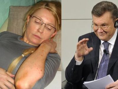 Помилование Тимошенко комиссия Януковича назвала преждевременным - В Мире