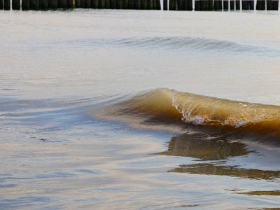 Jūros šventei skirtoje monetoje – gintaro gabalėlis - Lietuva ir Baltijos šalys