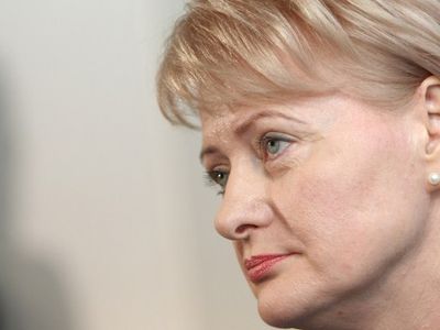 Президент Литвы наложила вето на закон о сокращении выплат по уходу за ребенком - Литва и страны Балтии