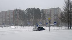 Погода в Висагинасе на выходные