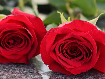 Dėkojame visiems, kas buvo šalia - Atsisveikiname