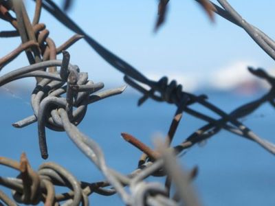 Россия начала обносить Украину колючей проволокой - В Мире