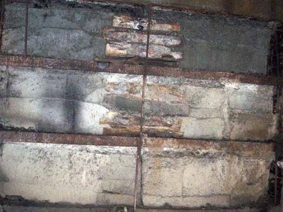 Второе за 10 лет убийство в Йельском университете: студентку замуровали в стену - Происшествия и криминал