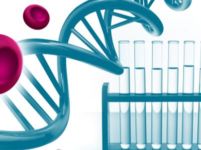 Заново выращенная искусственная почка может заменить настоящую - Наука и здоровье