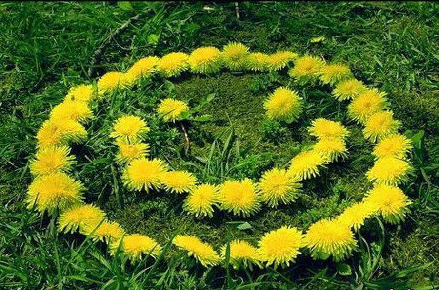 Цвети, мой город! - В Висагинасе