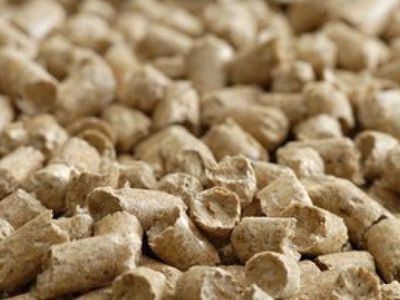 В Даугавпилсе через 2 года может появиться новый завод за 160 миллионов долларов

 - Литва и страны Балтии