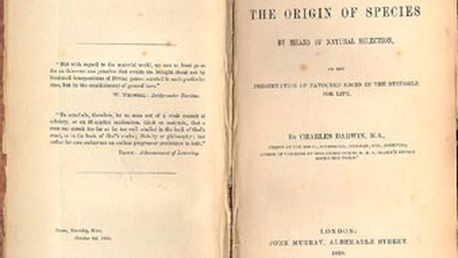 Первое издание «Происхождение видов»  продано за 52 тысячи долларов - Культурные и спортивные мероприятия