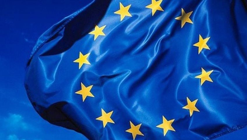 Нищая Европа: какое будущее ожидает ЕС
