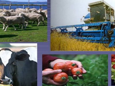 Статус безработного - лицам, занимающимся индивидуальной сельскохозяйственной деятельностью - Литва и страны Балтии