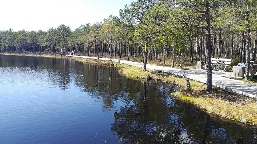 Тропа на оз. Кукуйже скоро станет еще длиннее - В Висагинасе
