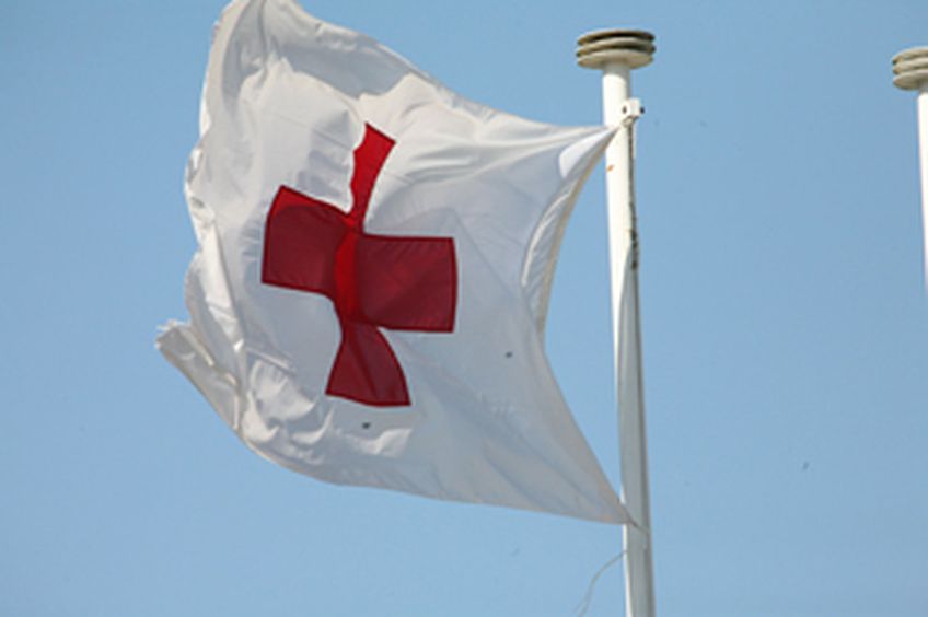 8 мая отмечался Всемирный День Красного Креста и Красного Полумесяца.